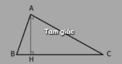 Bài 9: Tam giác