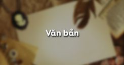 Văn bản