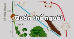 Bài 48: Quần thể người