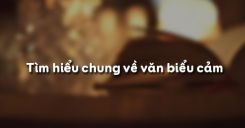 Tìm hiểu chung về văn biểu cảm