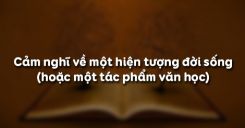 Viết bài làm văn số 1: Cảm nghĩ về một hiện tượng đời sống (hoặc một tác phẩm văn học)