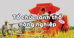 Bài 25: Tổ chức lãnh thổ nông nghiệp