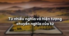 Soạn bài Từ nhiều nghĩa và hiện tượng chuyển nghĩa của từ - Ngữ văn 6