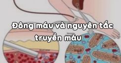 Bài 15: Đông máu và nguyên tắc truyền máu