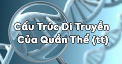 Bài 17: Cấu trúc di truyền và quần thể (tiếp theo)