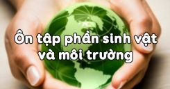 Bài 63: Ôn tập phần sinh vật và môi trường