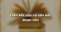 Liên kết câu và liên kết đoạn văn