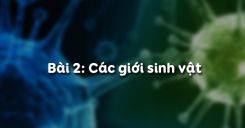 Bài 2: Các giới sinh vật