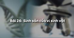 Bài 26: Sinh sản của vi sinh vật