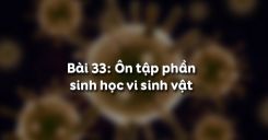 Bài 33: Ôn tập phần sinh học vi sinh vật