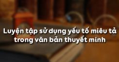 Luyện tập sử dụng yếu tố miêu tả trong văn bản thuyết minh