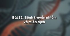 Bài 32: Bệnh truyền nhiễm và miễn dịch