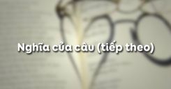 Nghĩa của câu (tiếp theo)