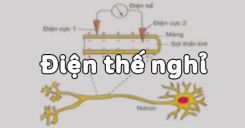 Bài 28: Điện thế nghỉ