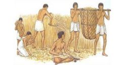 Bài 5: Các quốc gia cổ đại phương Tây