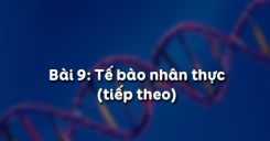 Bài 9: Tế bào nhân thực tiết 2