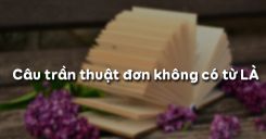 Soạn bài Câu trần thuật đơn không có từ LÀ - Ngữ văn 6