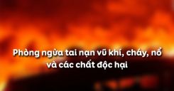 Bài 15: Phòng ngừa tai nạn vũ khí, cháy, nổ và các chất độc hại
