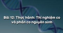 Bài 12: Thực hành Thí nghiệm co và phản co nguyên sinh
