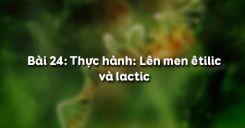 Bài 24: Thực hành Lên men êtilic và lactic
