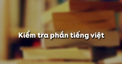 Kiểm tra phần tiếng Việt