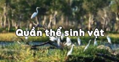 Bài 47: Quần thể sinh vật