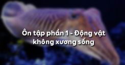 Bài 30: Ôn tập phần I - Động vật không xương sống