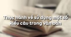 Thực hành về sử dụng một số kiểu câu trong văn bản