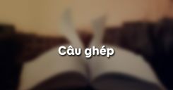 Câu ghép