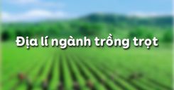 Bài 28: Địa lí ngành trồng trọt