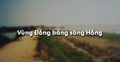 Bài 20: Vùng Đồng bằng sông Hồng