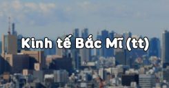 Bài 39: Kinh tế Bắc Mĩ (tiếp theo)