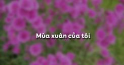 Mùa xuân của tôi - Vũ Bằng