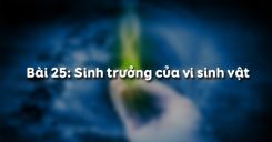 Bài 25: Sinh trưởng của vi sinh vật