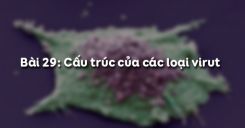 Bài 29: Cấu trúc của các loại virut
