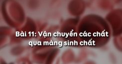 Bài 11: Vận chuyển các chất qua màng sinh chất