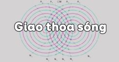 Bài 8: Giao thoa sóng