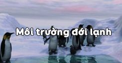 Bài 21: Môi trường đới lạnh