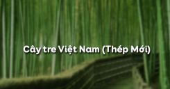 Soạn bài Cây tre Việt Nam của Thép Mới - Ngữ văn 6