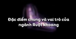 Bài 10: Đặc điểm chung và vai trò của ngành Ruột khoang