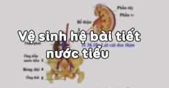 Bài 40: Vệ sinh hệ bài tiết nước tiểu