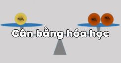 Bài 38: Cân bằng hóa học