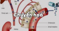 Bài 32: Chuyển hoá