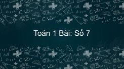 Số 7
