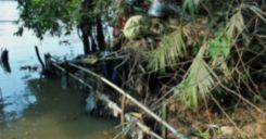 Bài 56-57: Thực hành Tìm hiểu tình hình môi trường ở địa phương