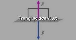 Bài 8: Trọng lực- Đơn vị lực