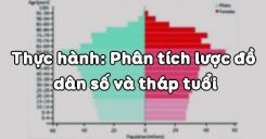 Bài 4: Thực hành Phân tích lược đồ dân số và tháp tuổi