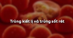 Bài 6: Trùng kiết lị và trùng sốt rét