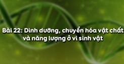 Bài 22: Dinh dưỡng, chuyển hóa vật chất và năng lượng ở vi sinh vật