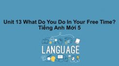 Unit 13: What do you do in your free time?